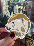 Ours Polaire - Stickers