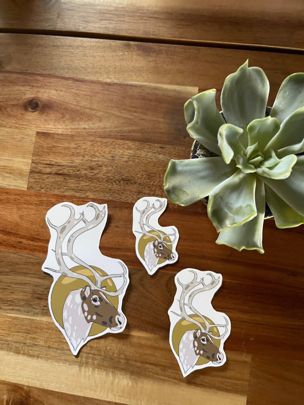 Renne - Stickers