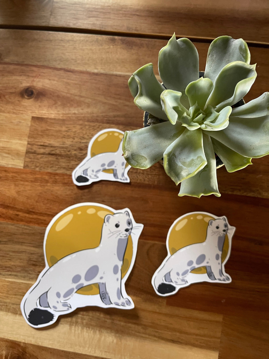 Hermine - Stickers