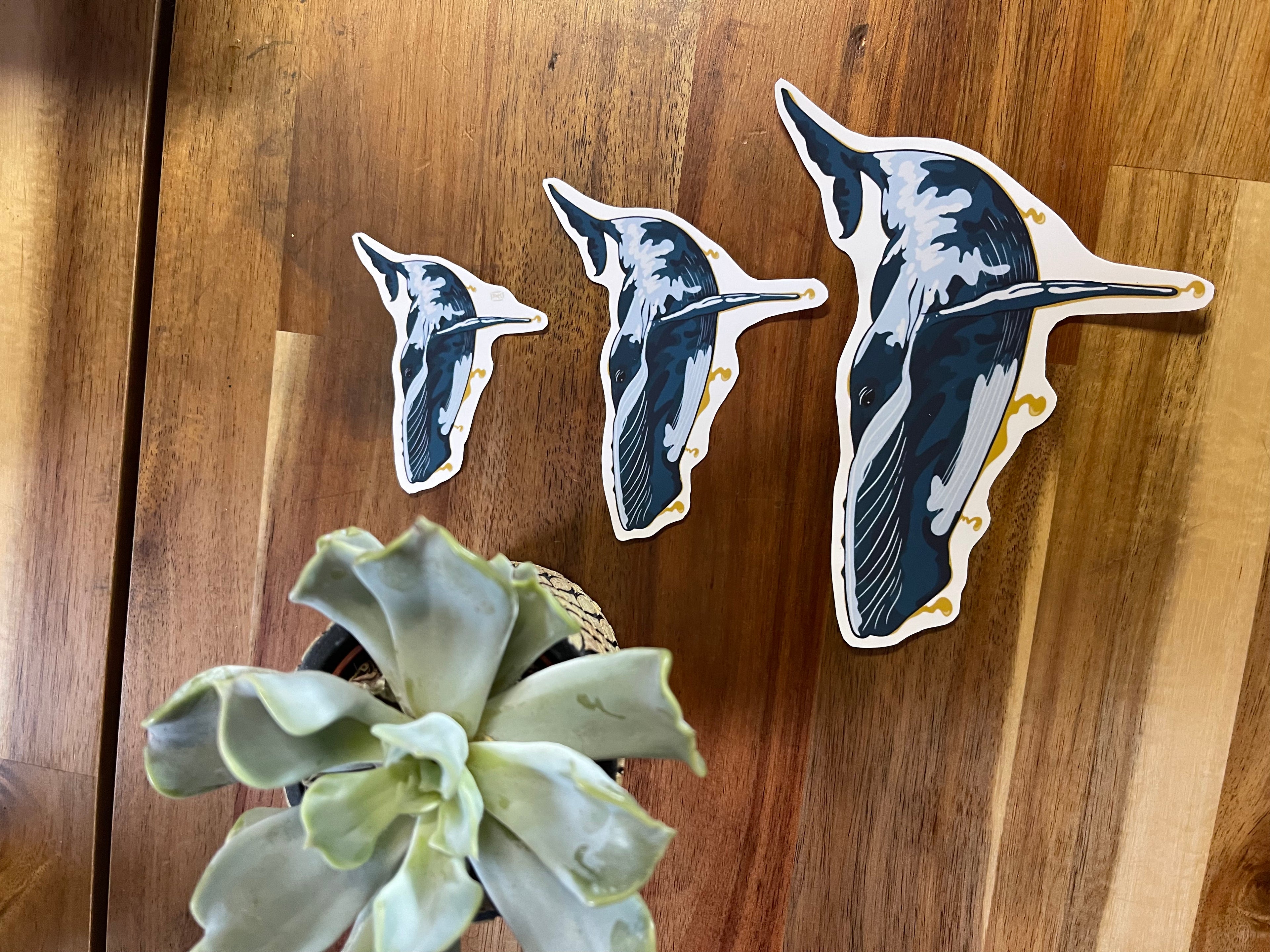 Baleine - Stickers