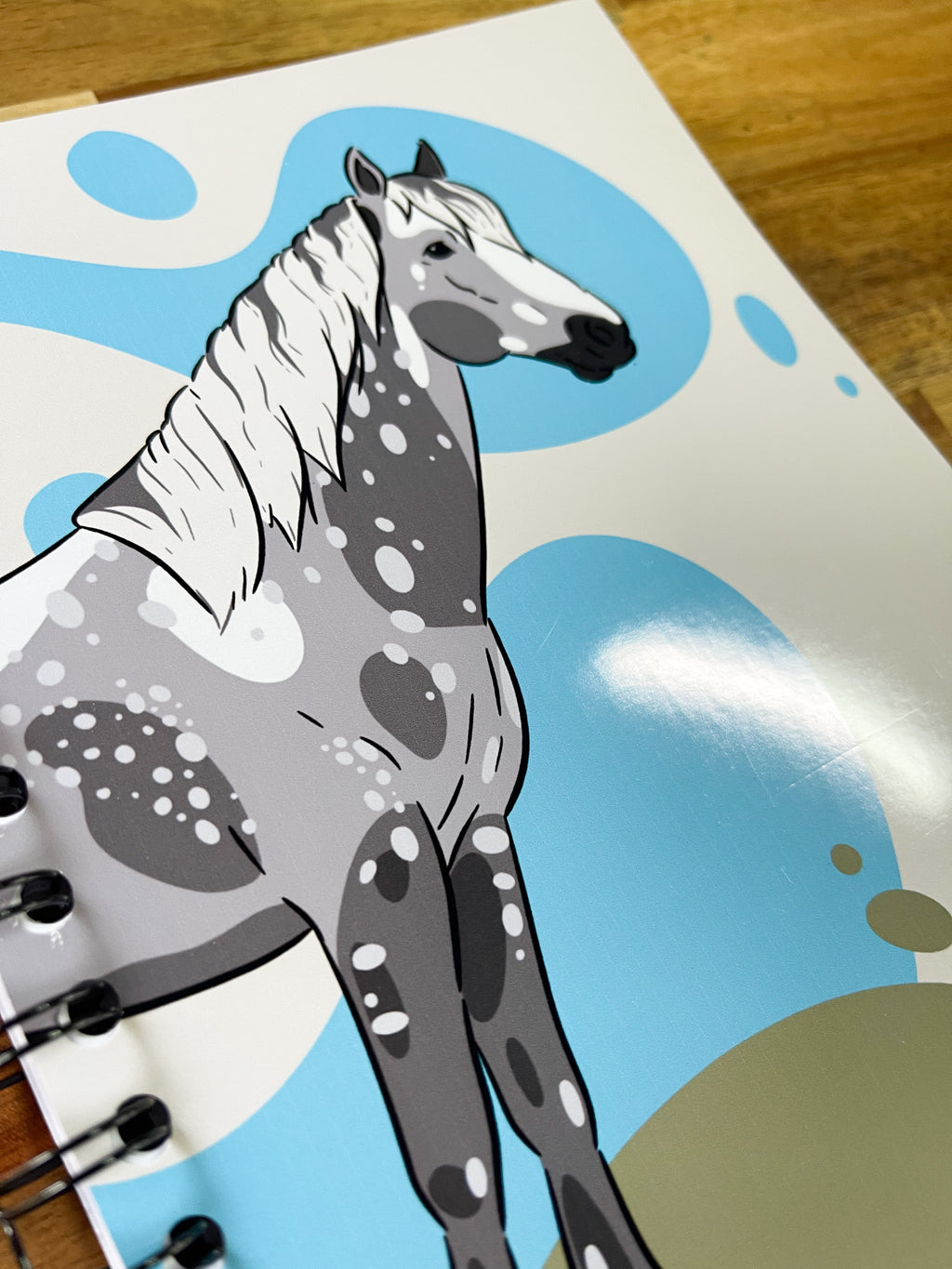 Carnet Connemara Pony • Édition Spirale Dorée