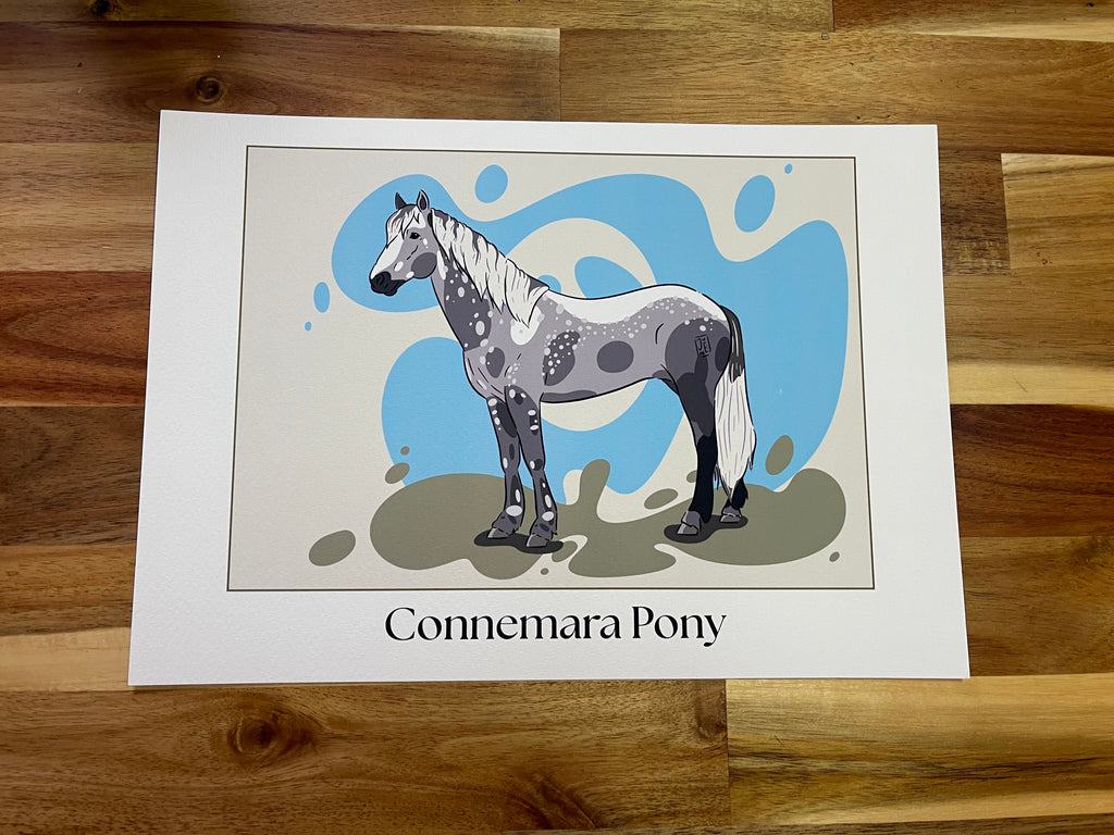 Tirage d’art Connemara Pony - affiche fine art