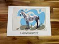 Tirage d’art Connemara Pony - affiche fine art