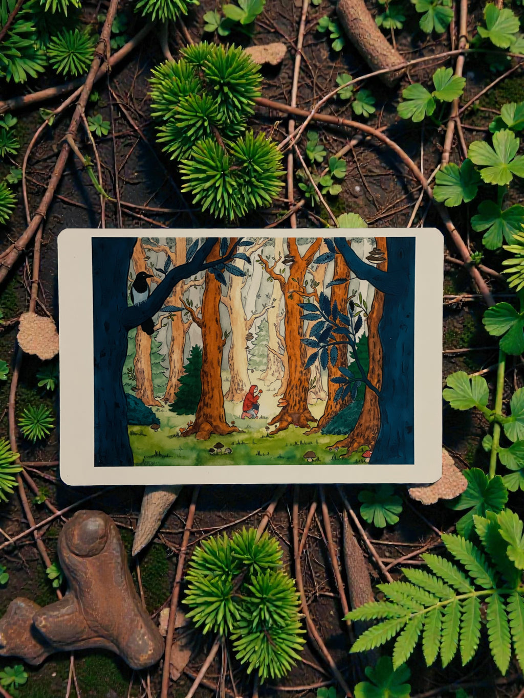 Illustration Hunvreoù Paper –  – univers poétique nature Bretagne